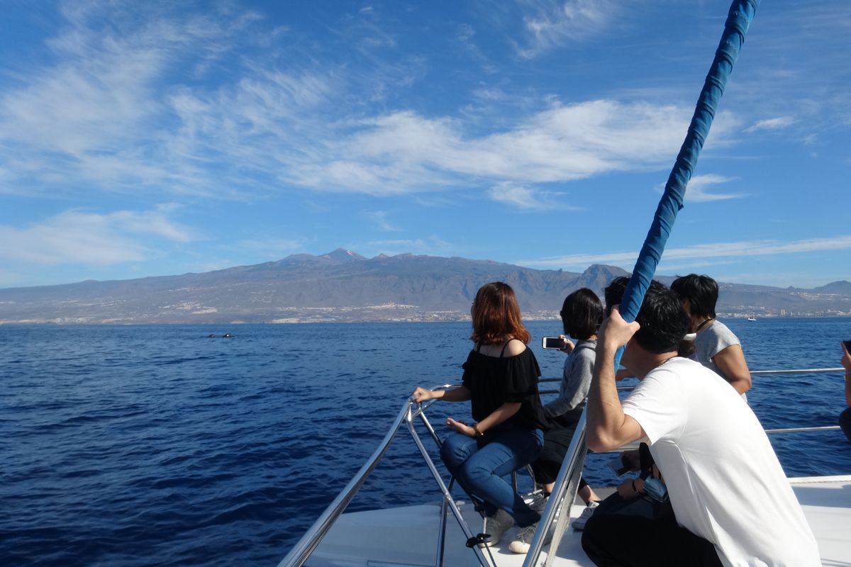 Mensen die vanaf een boot op Tenerife naar de zee en bergen kijken.