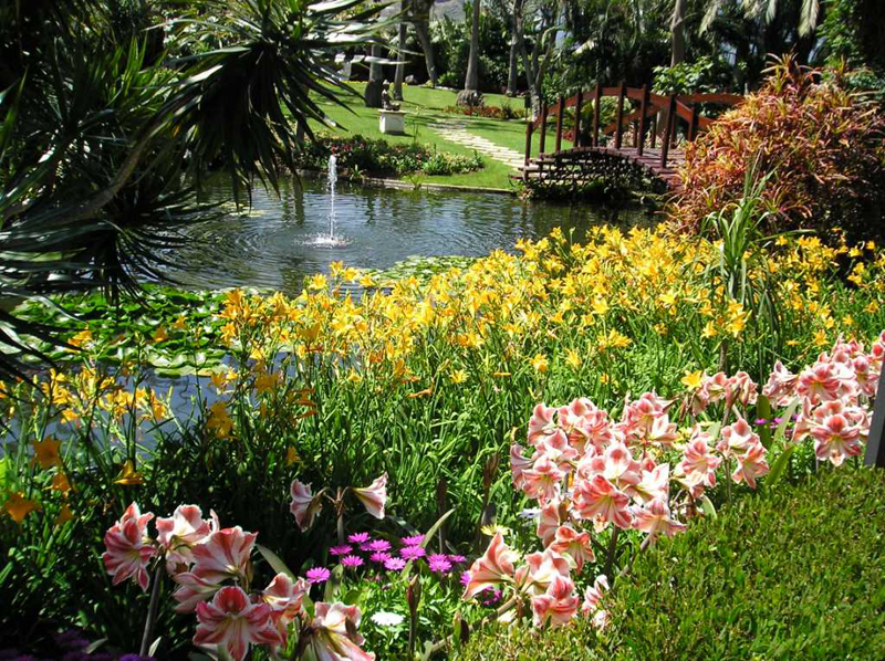 Tuin met bloemen en vijver met fontein en brug op Tenerife.