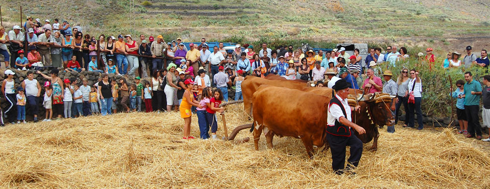Trilla Tradicional de Buenavista
