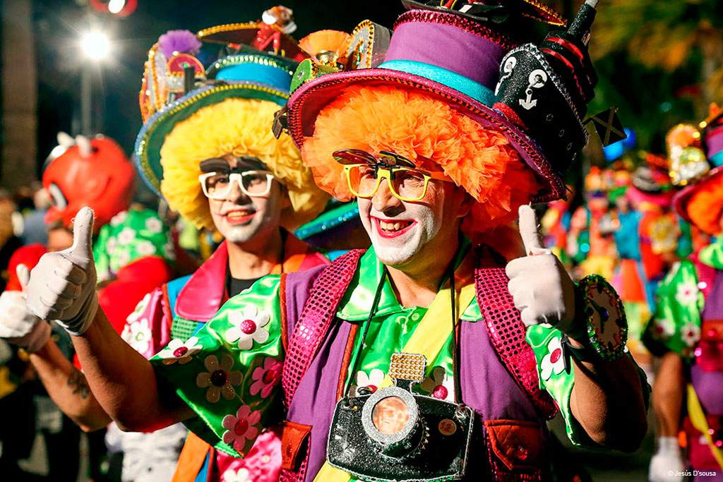 Persoon in kleurrijke kostuum tijdens het carnaval in Santa Cruz de Tenerife.