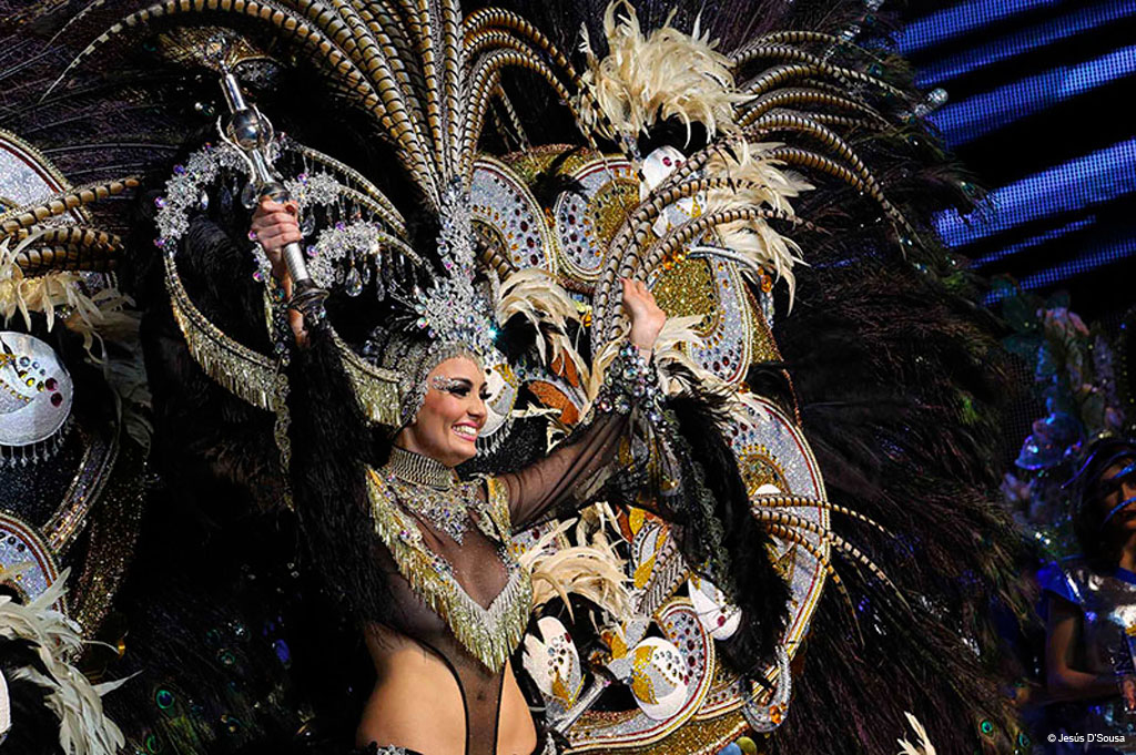 Persoon in carnavalskostuum en verenhoofddeksel in Santa Cruz de Tenerife.