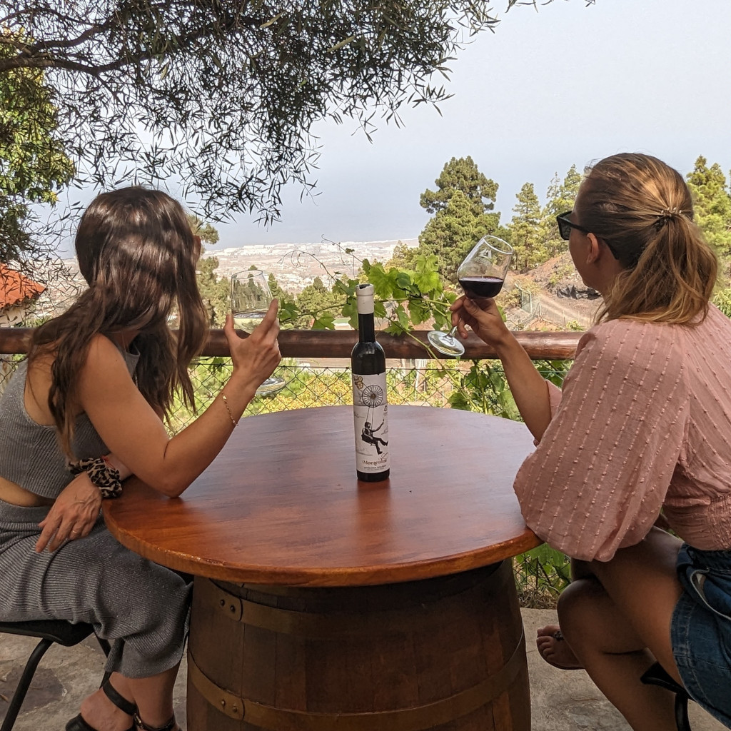 Mensen die genieten van wijn met uitzicht op La Laguna, Tenerife. Fles op tafel.