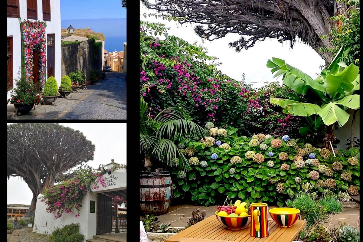 Geplaveide straat met bloempotten en zeezicht op Tenerife. Struiken en bloemen in de tuin van Tenerife. Ingang van Casa del Drago met iconische boom op Tenerife.