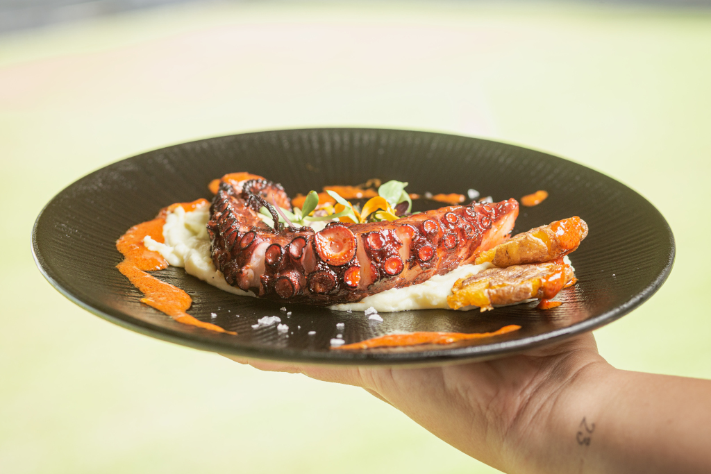 Gegrilde octopus op puree, versierd met saus, geserveerd op Tenerife.