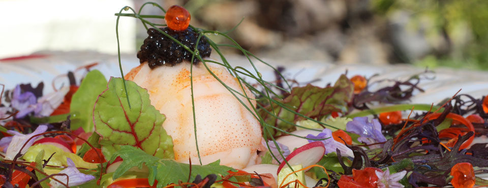 Restaurante La Torre