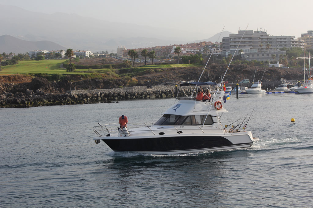 Vissersboot die dicht langs de kust op Tenerife vaart, met palmbomen en gebouwen op de achtergrond.