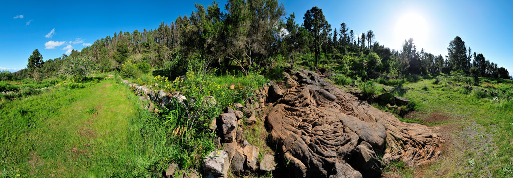 Groen en rotsachtig pad in een bos van Tenerife onder een heldere lucht.