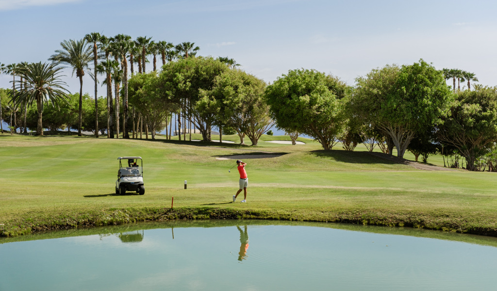 Iemand die golf speelt op een veld met palmbomen en karretje op Tenerife.