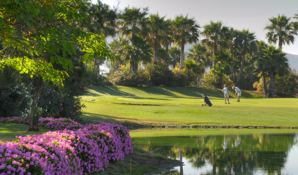 Mensen die golf spelen op een veld met palmbomen op Tenerife.