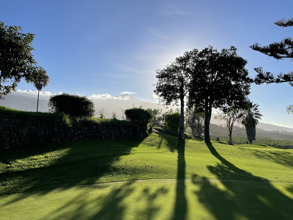 Bomen en gras onder de zon met een achtergrond van bergen op Tenerife.