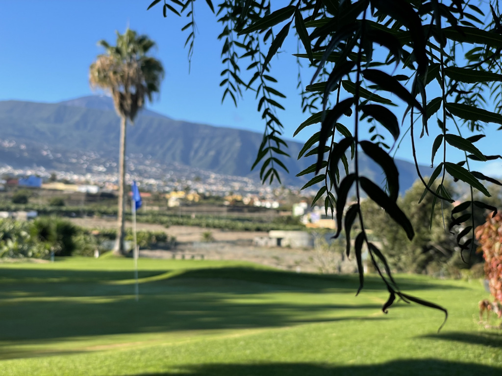 Golfbaan op Tenerife met een berg en boom op de achtergrond.