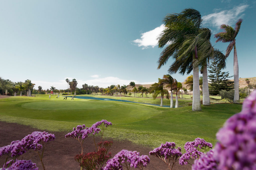 Golfbaan met palmbomen en paarse bloemen op Tenerife.
