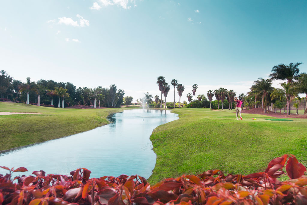 Golfbaan met palmbomen en meer in Costa Adeje, Tenerife.