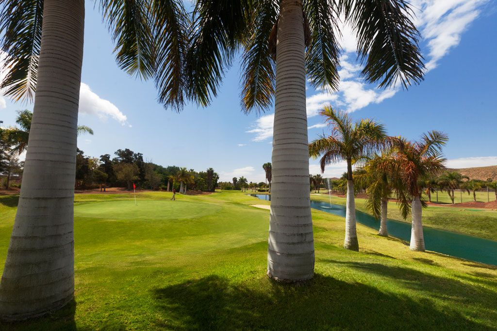 Golfbaan omringd door palmbomen op Tenerife, heldere lucht.