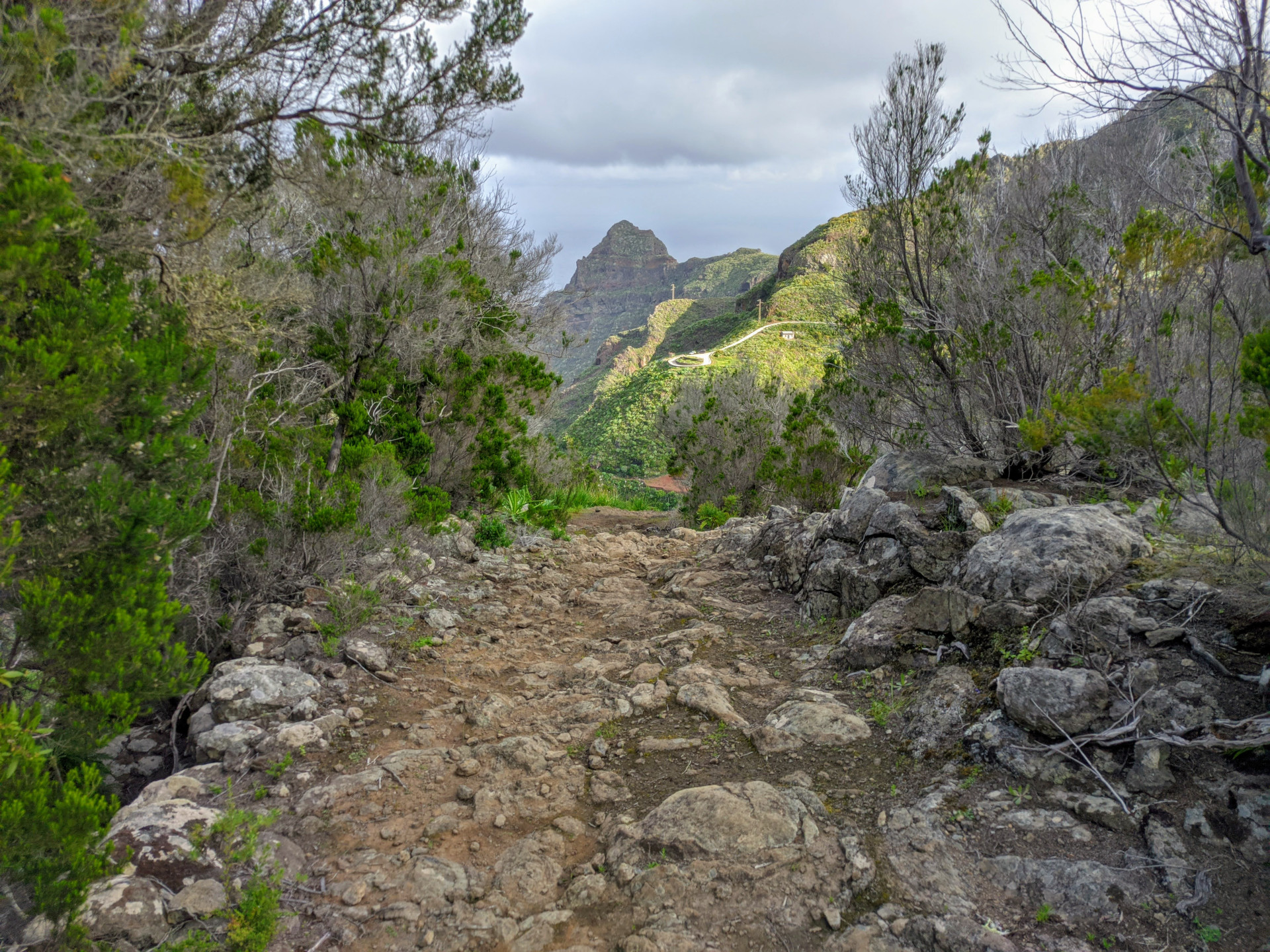 Rotsachtig pad tussen vegetatie in het Anaga Rural Park, Tenerife.