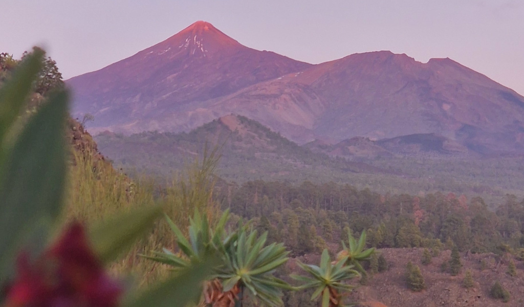 Uitzicht op de berg Teide en het natuurlijke landschap op Tenerife bij zonsondergang.