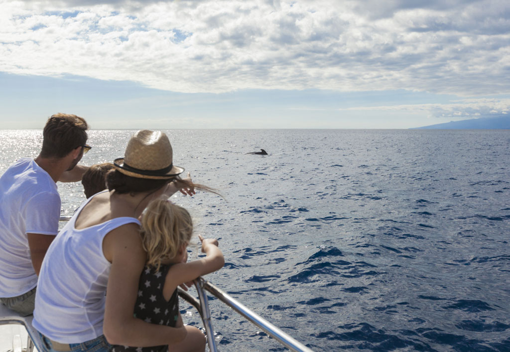 Familie die dolfijnen kijkt vanaf een boot op Tenerife.