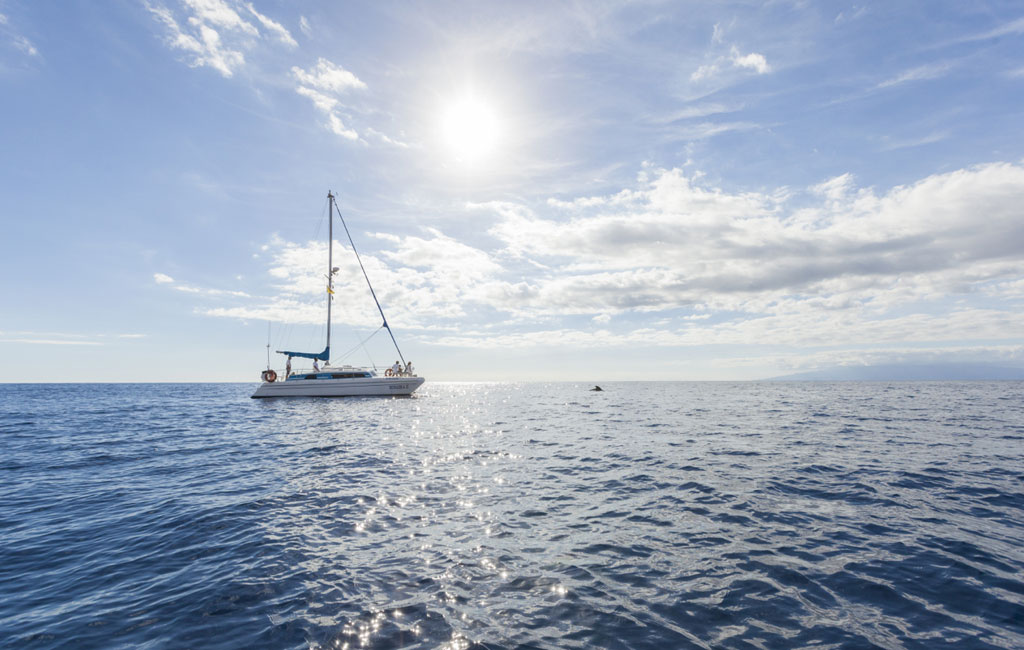 Zeilboot die in de zee onder de zon vaart nabij Tenerife.