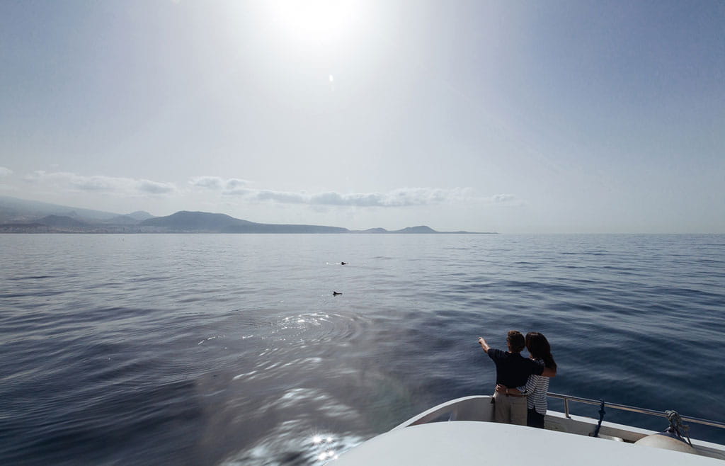 Stel op een boot dat op de achtergrond naar de oceaan en de kust van Tenerife kijkt.