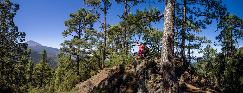 GR 131 Anaga - Chasna. Tramo: La Esperanza - Área Recreativa La Caldera