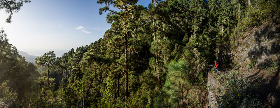 PR-TF 35.1 La Caldera - Casa del Agua - Pinolere