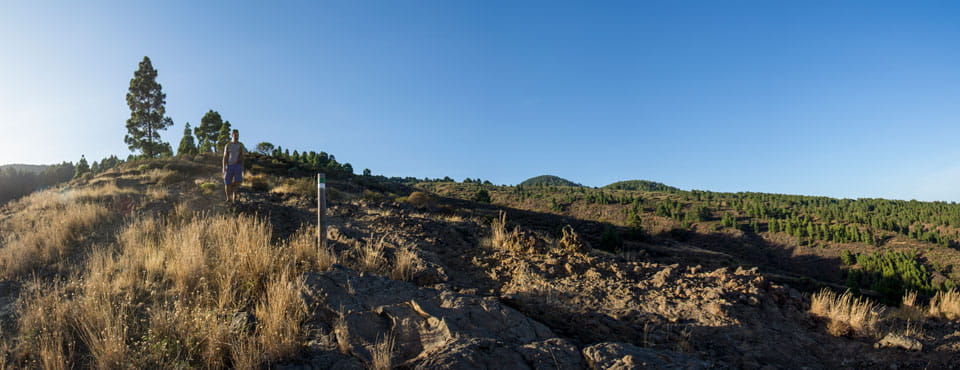 SL-TF 299 El Centeno