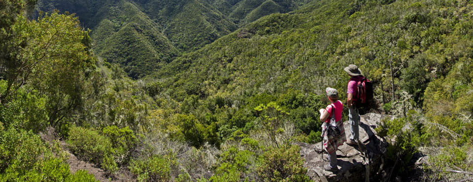 PR-TF 54 Los Silos - Las Moradas - Monte del Agua