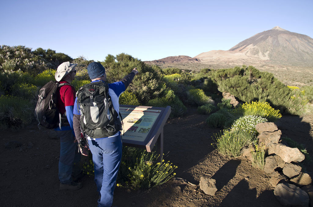 Twee mensen bekijken het landschap richting de berg Teide op Tenerife, dragen rugzakken en wijzen naar een vulkaan.