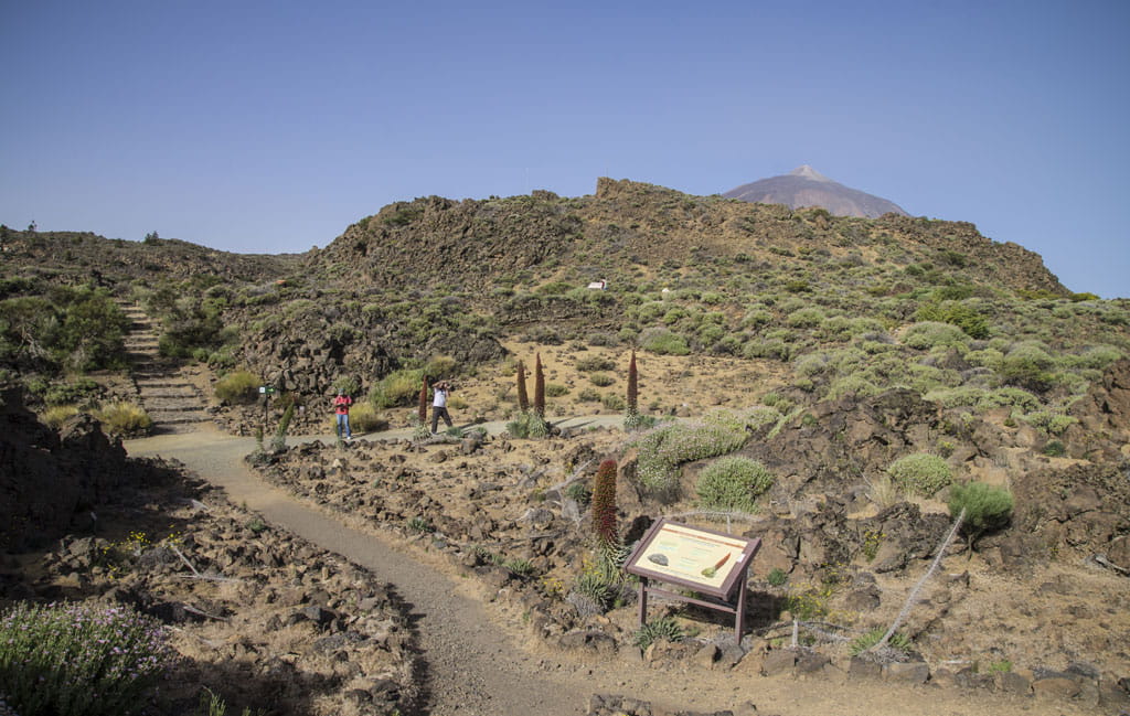 Parque Nacional del Teide - Tramo accesible Jardín Botánico