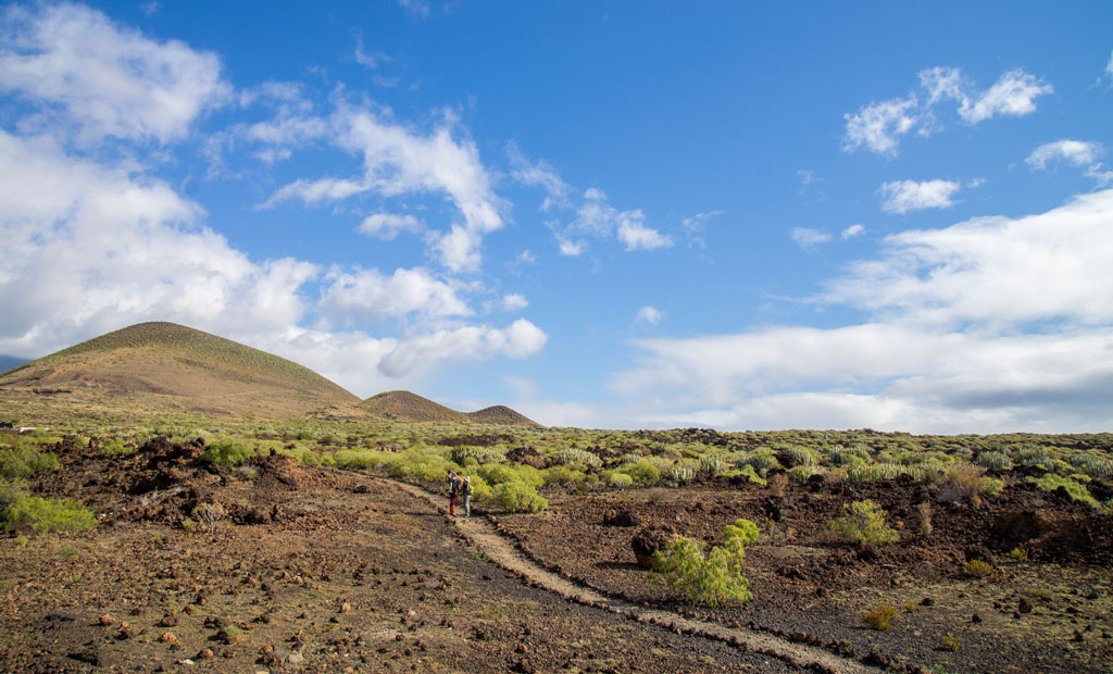 Wandel door het vulkanische landschap van Tenerife onder een heldere lucht.