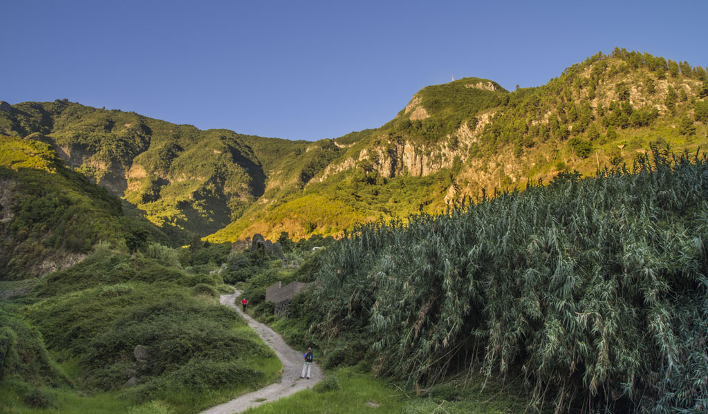 Bergachtige route omringd door groen op Tenerife waar mensen wandelen.