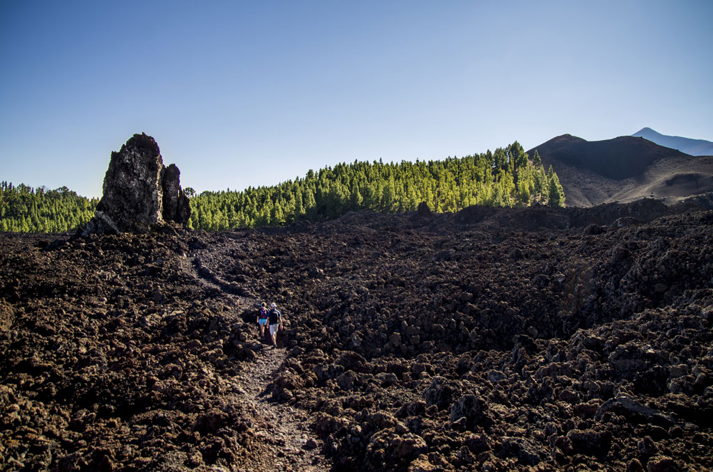 Wandel een wandelpad in vulkanisch landschap met rotsen en dennen op Tenerife.