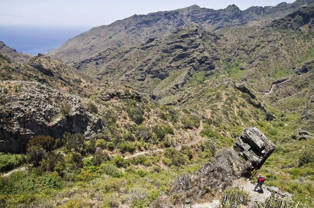 Bergpad in Teno, Tenerife, waarbij één persoon tussen rotsen en vegetatie wandelt.