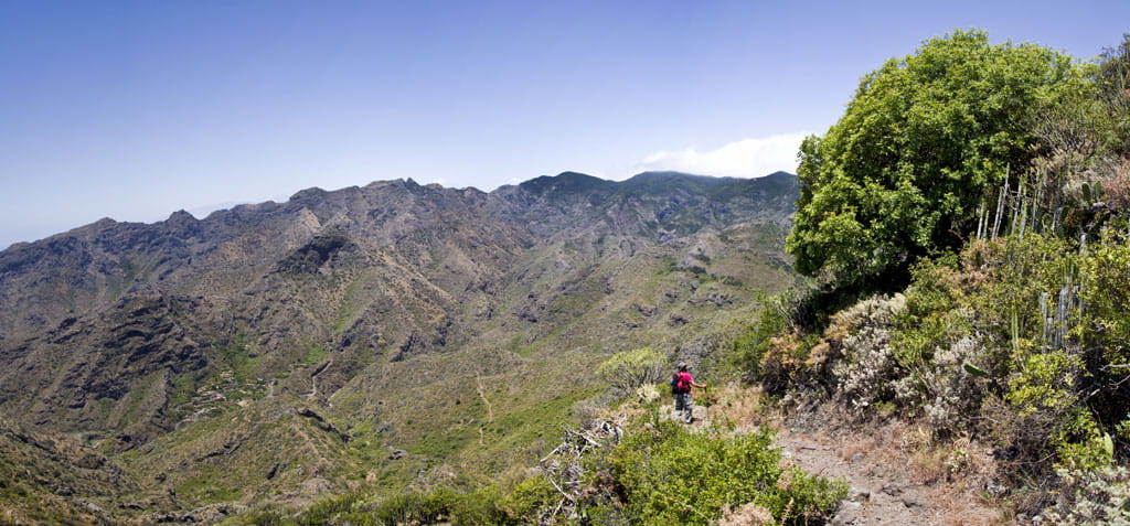 Bergachtig pad in het Teno Rural Park, Tenerife, met panoramisch uitzicht.