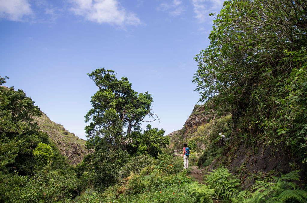 pr-tf-53-1-cuevas-negras-tierra-del-trigo-gal01.jpg