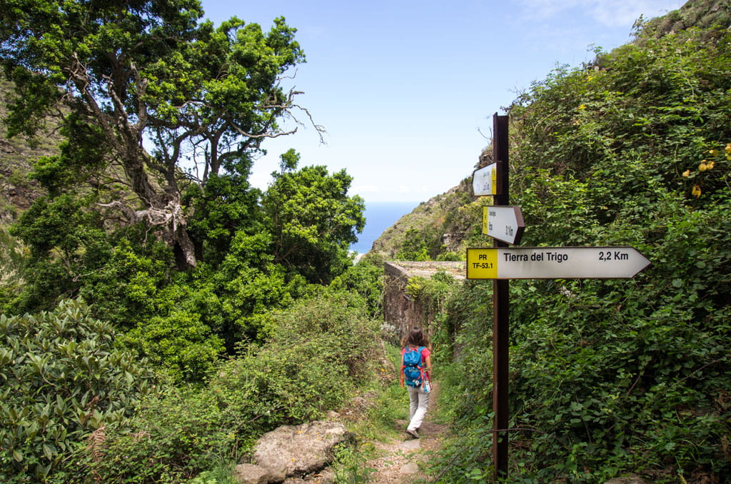 pr-tf-53-1-cuevas-negras-tierra-del-trigo-gal02.jpg