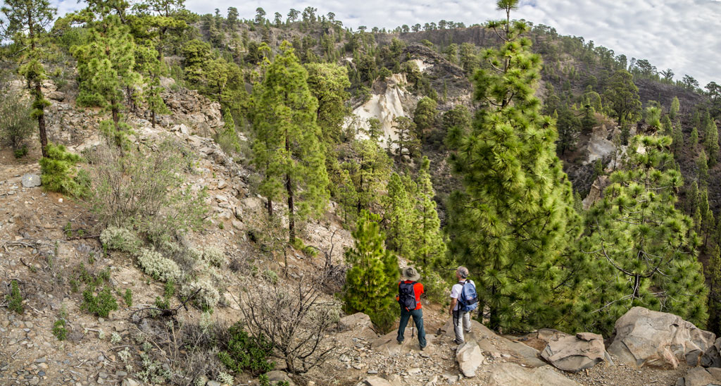PR-TF 83 Altos de Granadilla