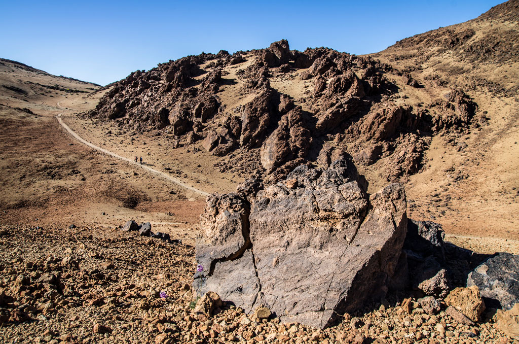 Rotsachtig landschap met een pad in het Nationaal Park Teide, Tenerife.