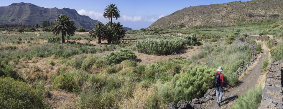 PR-TF 65 Santiago del Teide - Puerto de Santiago