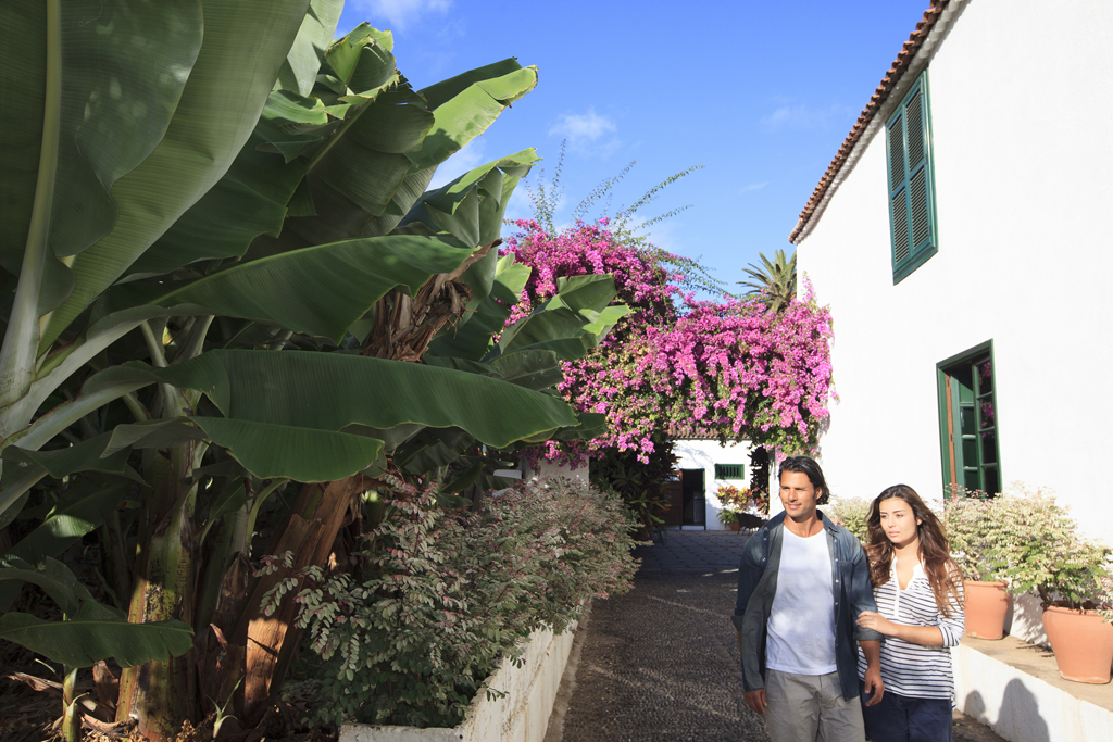 Stel dat naast bananenbomen en bougainvillea op Tenerife wandelt.