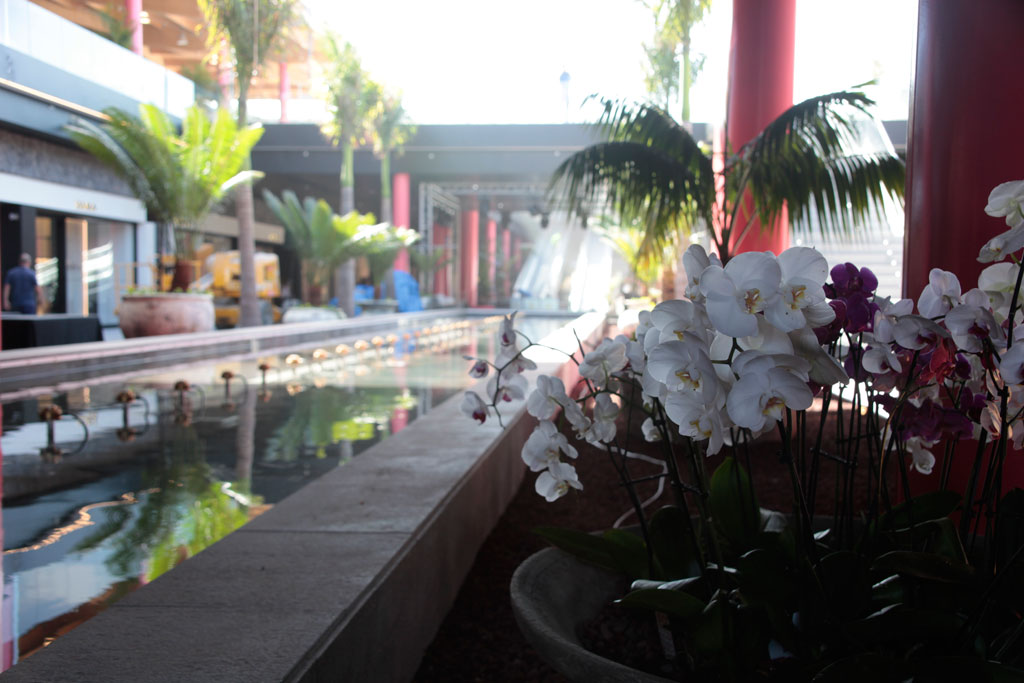 Witte en paarse orchideeën in een winkelcentrum op Tenerife.