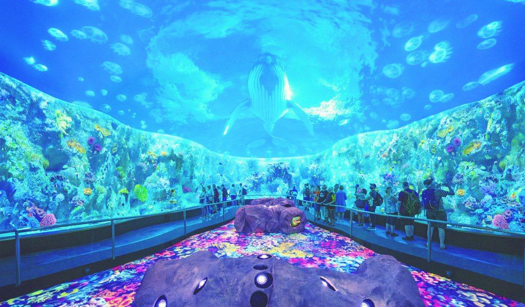 Mensen kijken naar een virtuele onderwaterwalvistentoonstelling in een aquarium op Tenerife.