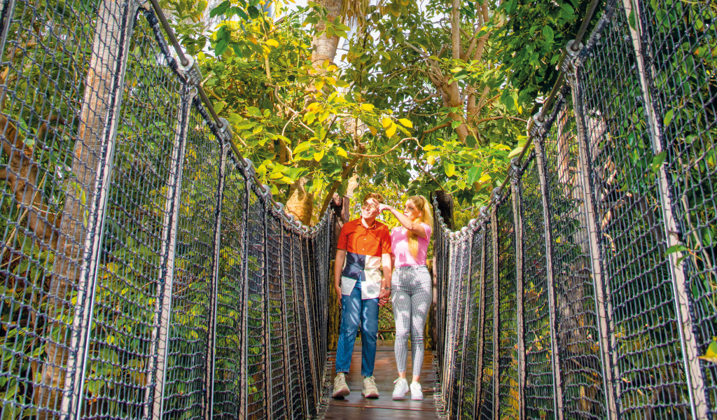 Stel wandelt over een hangbrug omringd door groen op Tenerife.