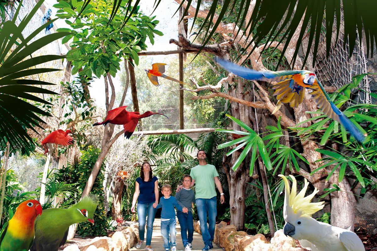 Gezin wandelt in een volière, omringd door papegaaien en groen op Tenerife.