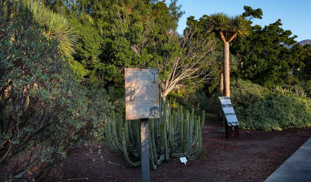 Informatief teken tussen cactussen en planten in de Botanische Tuin van Tenerife.