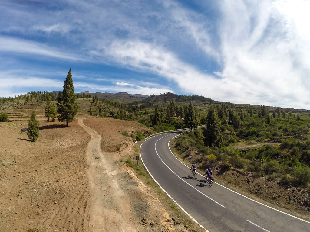 Fietsers rijden op een gebogen pad omringd door bomen in een landschap van Tenerife.