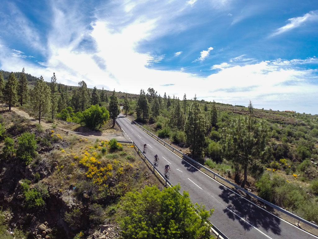 Een weg omringd door bomen en fietsers die onderweg zijn op Tenerife.