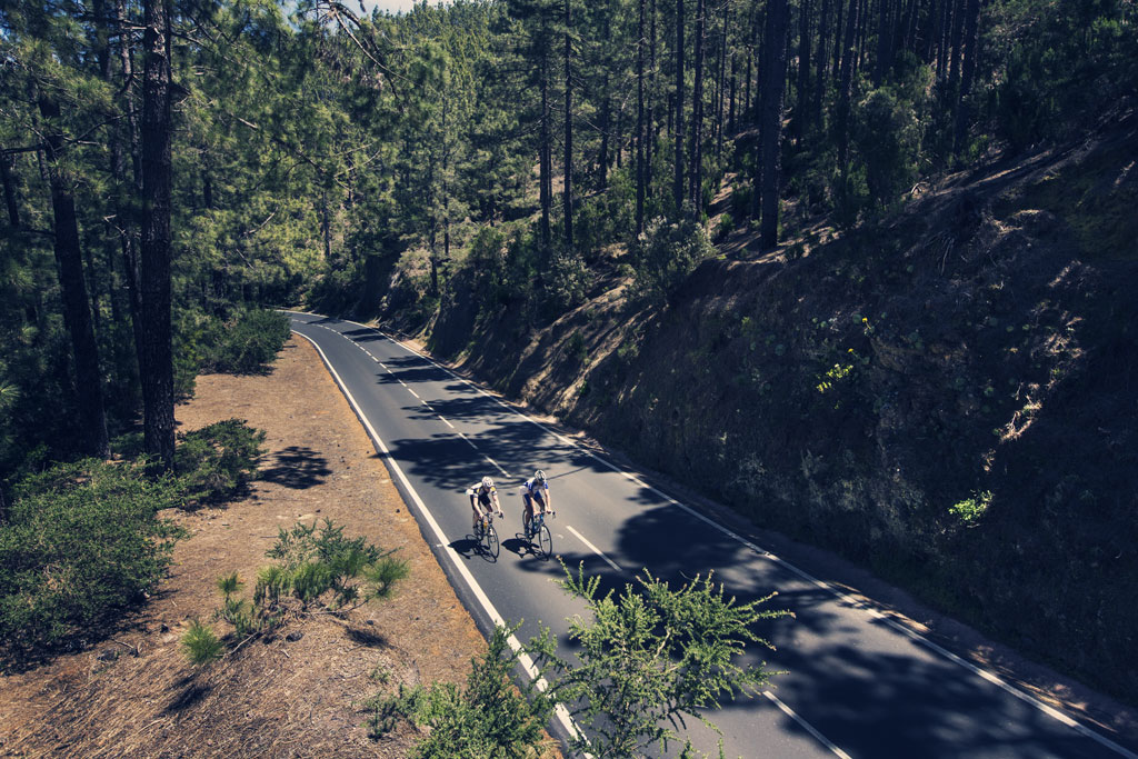Fietsers op een weg omringd door bomen op Tenerife.