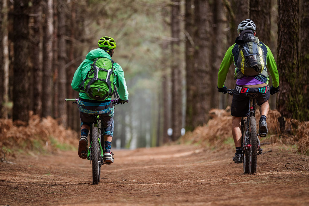 Fietsers op een bosroute op Tenerife.