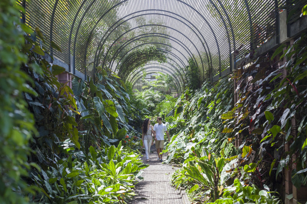 10-jardin-botanico-puerto-de-la-cruz.jpg